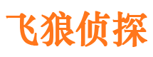 满城市私家侦探